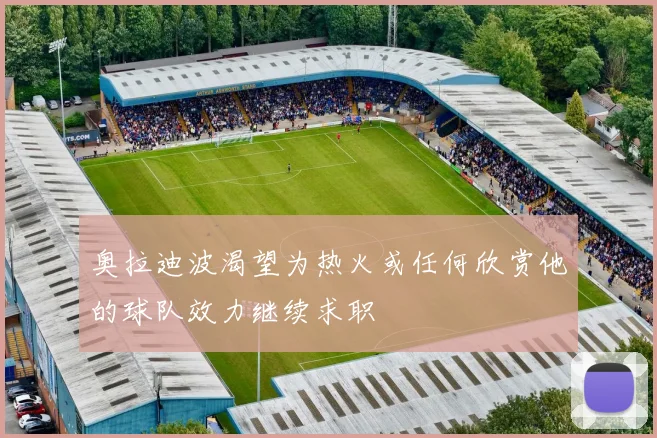 奥拉迪波渴望为热火或任何欣赏他的球队效力继续求职
